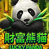 Lucky Panda